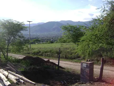 Consultar dirección