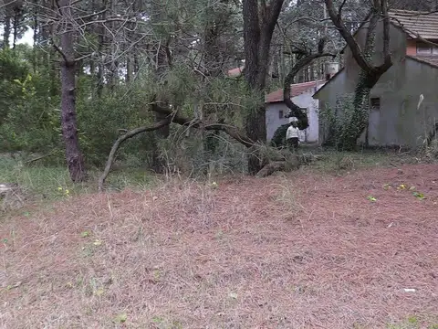 Terreno en Venta de 554,0 m2