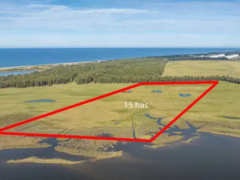 Chacra en venta de 15 Has. sobre Laguna José Ignacio 100