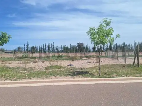 BARRIO GARDENS , Piso 0