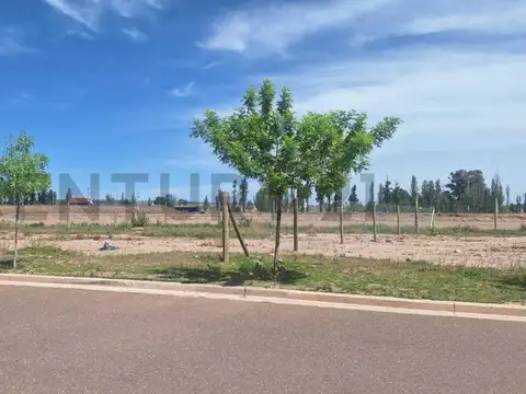 Terreno en Venta en Mayor Drummond, USD 24.000