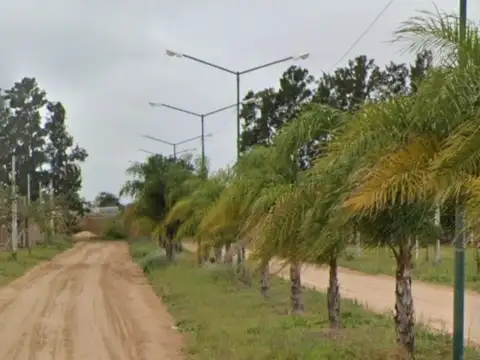 LOTEO LA DELFINA. SANTA ROSA DE CALCHINES.
