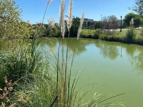 Calle Rural Guastavino
