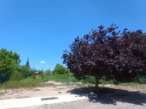 Terreno en Venta en Lujan De Cuyo, USD 55.000