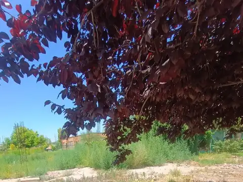 Terreno en Venta de 671,0 m2