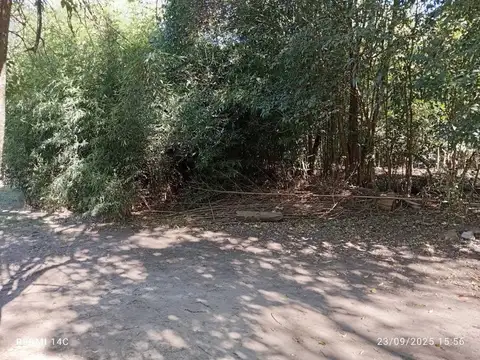 Calle Los Molles 500