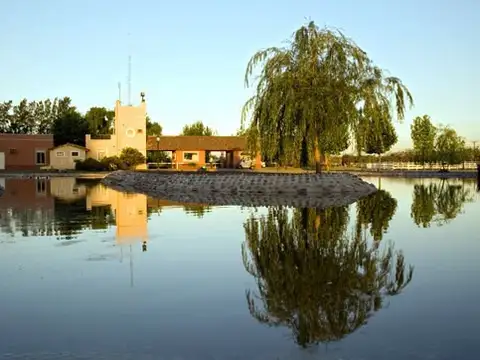 Ruta 25 (camino Pilar a M KM 7