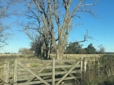 Campo en Baradero