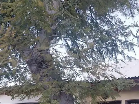 CASA 3 DORMITORIOS B° MOURE