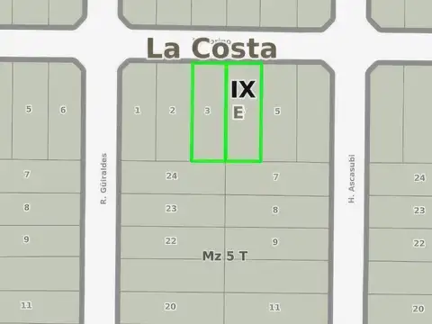 Torino e/ Ascasubi y Guiraldes