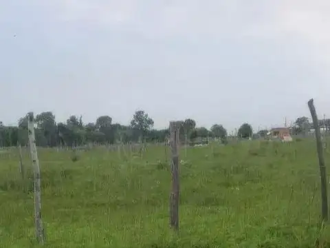 Torino e/ Ascasubi y Guiraldes