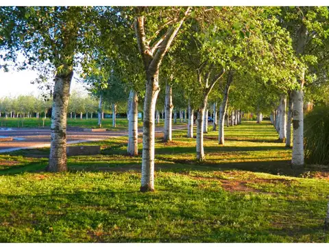 Terreno en Venta de 440,0 m2