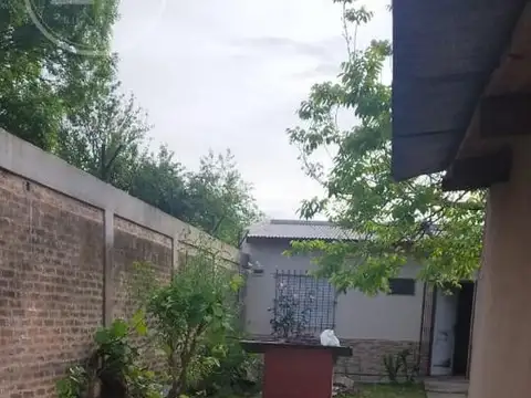  UN LOTE DE GRANDES DIMENCIONES 