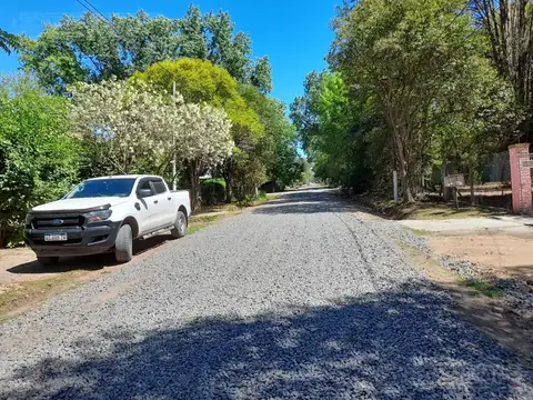 Las Camelias al 2600