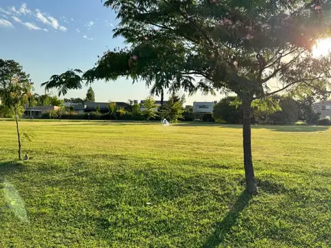 Terreno en Venta 32  mts Fondo