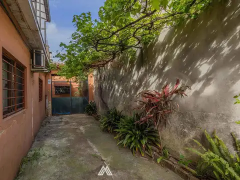 Magariños Cervantes 1800