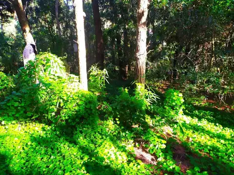 Terreno en Venta de 450,0 m2