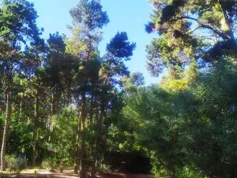 Terreno en venta - 450Mts2 - Mar de las Pampas