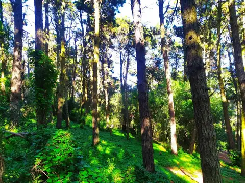 Terreno en Venta en Mar De Las Pampas, USD 42.000