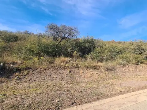 Avenida Ejército Argentino