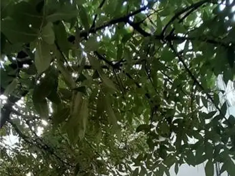 CASAS - CASA - CENTRO, RESISTENCIA