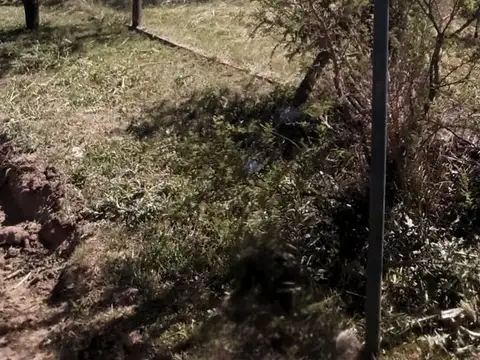 Terreno en Venta de 987,0 m2