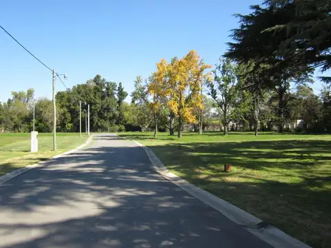 Solares De Zapiola 22