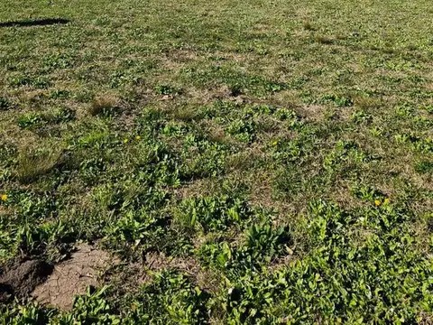 Terreno en Venta de 763,0 m2