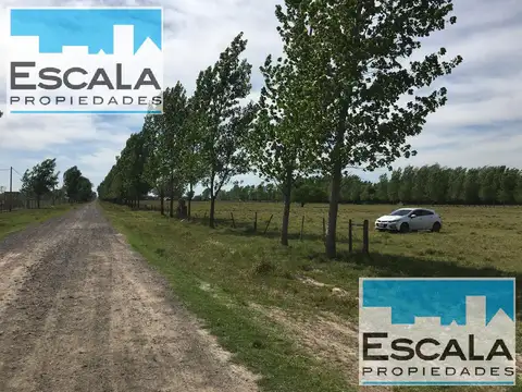 Terreno en Venta 50  mts Frente