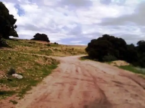 Dique Piscu Yaco 100