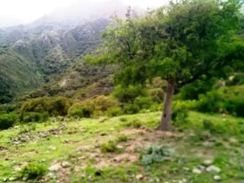 Excelente fración en piscu yaco