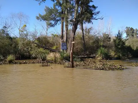 Rio / Arroyo Caraguatá 600
