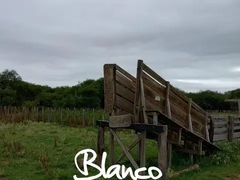 Terreno Campo  en Venta en San Luis Capital, San Luis, Argentina