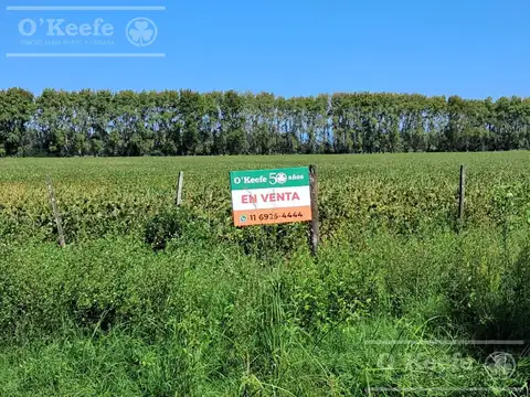 Campo  en venta de 44 has  Agricolas en Baradero
