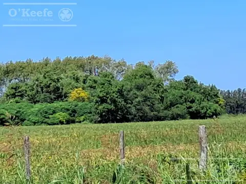 Campo  en venta de 44 has  Agricolas en Baradero