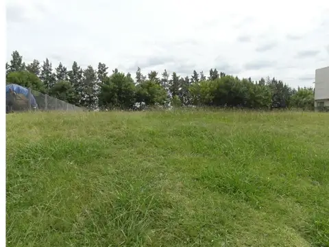 Terreno en Venta de 1100,0 m2