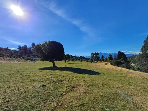 Chacra de 3,8 has en Trevelin