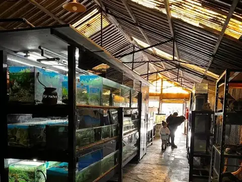 Complejo de cabañas en venta - 32 Dormitorios 40 Baños - 40.000Mts2 - Florencio Varela