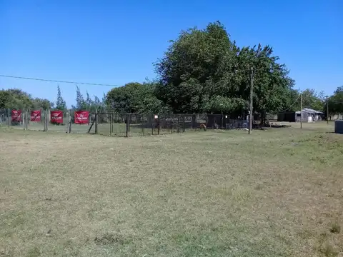 Juan Mantovani y 1443