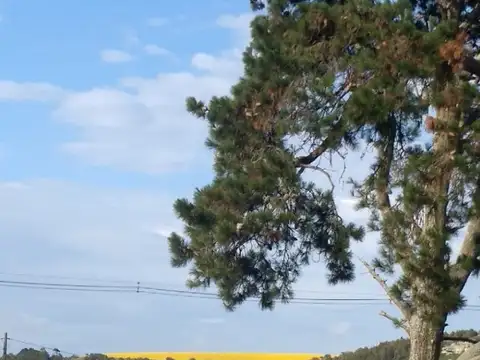 fracción 59,  de lote 218 a.-