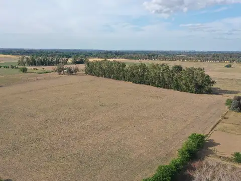 14 Has. Chacra en Los Cardales