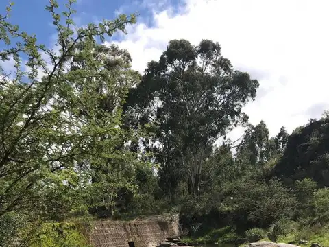 Club de Campo Los Tres Arroyos