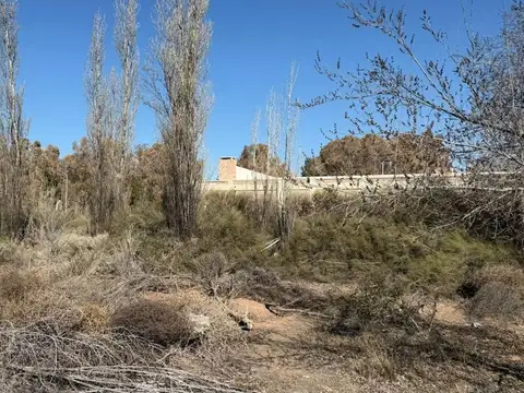 Terreno en Alquiler de 13564,0 m2