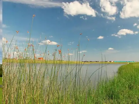 Terreno en Venta de 800,0 m2