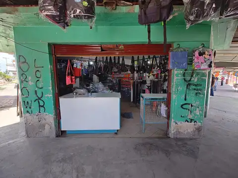 Casa con  Locales y un departamento en venta en G. Catan