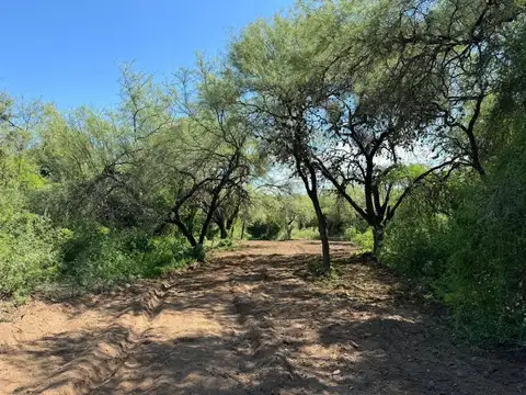 Terreno en Venta de 10000,0 m2