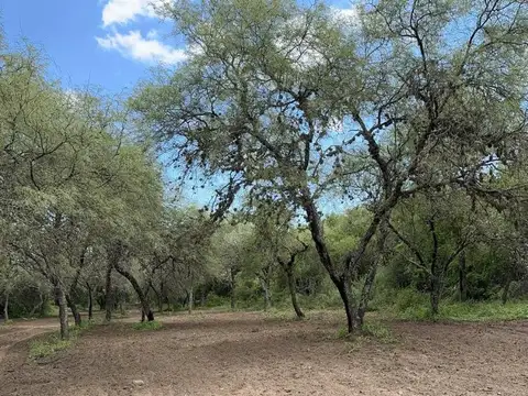 Terrenos a la venta en San Javier