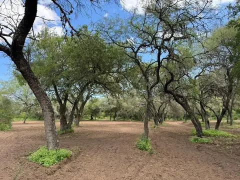 Terreno en Venta de 10000,0 m2