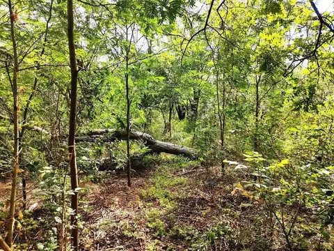 Terreno en Venta de 10000,0 m2