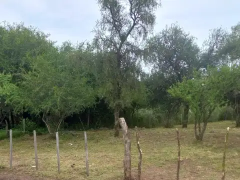 Consultar dirección